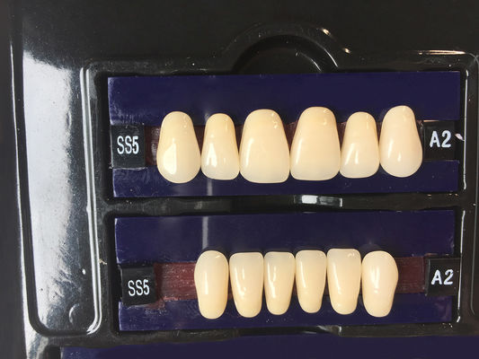 Dental Synthetic Resin Teeth Materials Multi Layers Composite False Teeth HSS3 HC3 M32