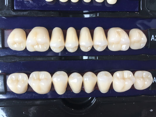 Dental Synthetic Resin Teeth Materials Multi Layers Composite False Teeth HSS3 HC3 M32