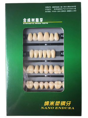 Clear Dental Acrylic Resin Kit Teeth Synthetic 2 Layers Dent Resin Teeth