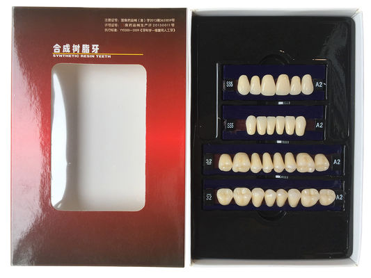 Dental Synthetic Resin Teeth Materials Multi Layers Composite False Teeth HSS3 HC3 M32