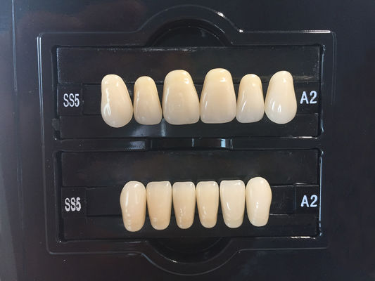 Plastic Polymer Dental Acrylic Resin Teeth A1 A3 2 Layers Dental Composite Resin