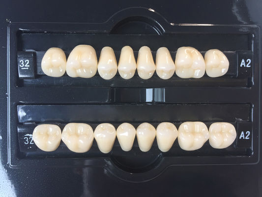 Plastic Polymer Dental Acrylic Resin Teeth A1 A3 2 Layers Dental Composite Resin