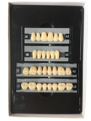 Clear Dental Acrylic Resin Kit Teeth Synthetic 2 Layers Dent Resin Teeth