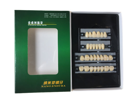 Clear Dental Acrylic Resin Kit Teeth Synthetic 2 Layers Dent Resin Teeth